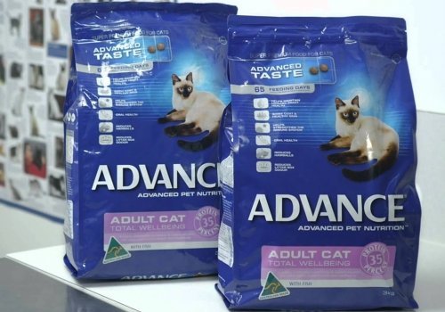 Prueba gratis Advance para tu mascota